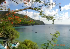 Sweet Point View 2